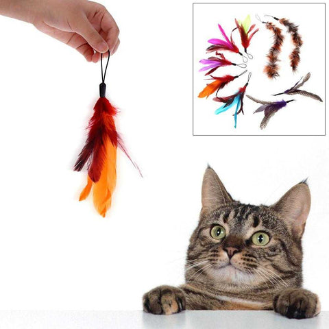 9 Pieces Colorful Natural Long Feather Wand Stick For Cat | VIVOCO Online Shop                                                                            