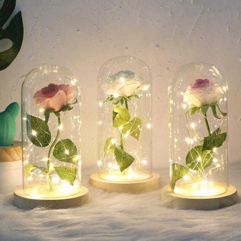 Red Rose Fallen Petals In A Glass Dome On Wooden Base | VIVOCO Online Shop                                                                            