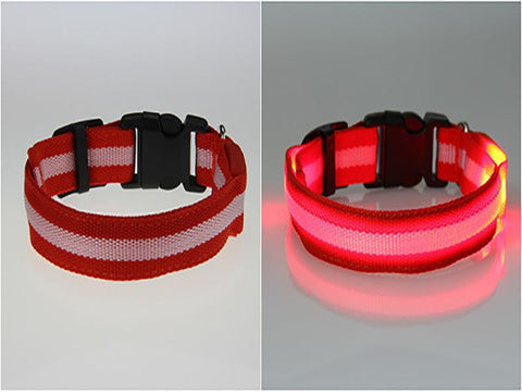 Night Safety Flashing LED Dog/Cat Flashing Light Nylon Collar | VIVOCO Online Shop                                                                            
