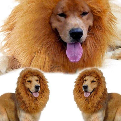 Pet Lion Mane Wig Halloween Costume for Dog Cat Light Brown | VIVOCO Online Shop                                                                            