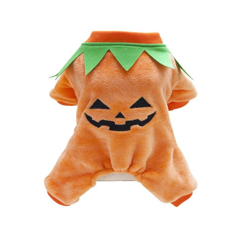 Pumpkin Dog Halloween Costume | VIVOCO Online Shop                                                                            