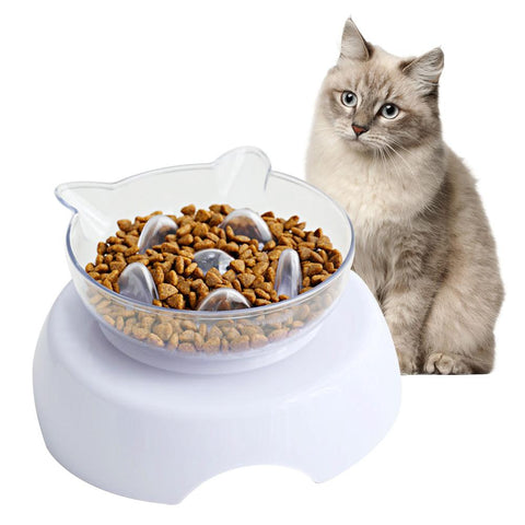 Slow Down Cat Feeder & Drinking Bowl, 15 Degrees Incline For Spine Protection